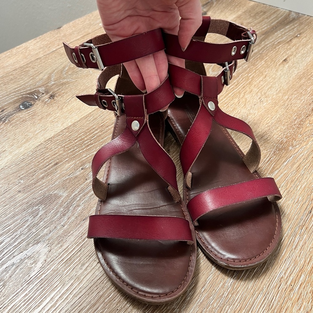 American Eagle Gladiator Sandals